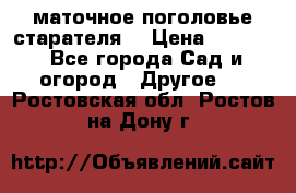 маточное поголовье старателя  › Цена ­ 3 700 - Все города Сад и огород » Другое   . Ростовская обл.,Ростов-на-Дону г.